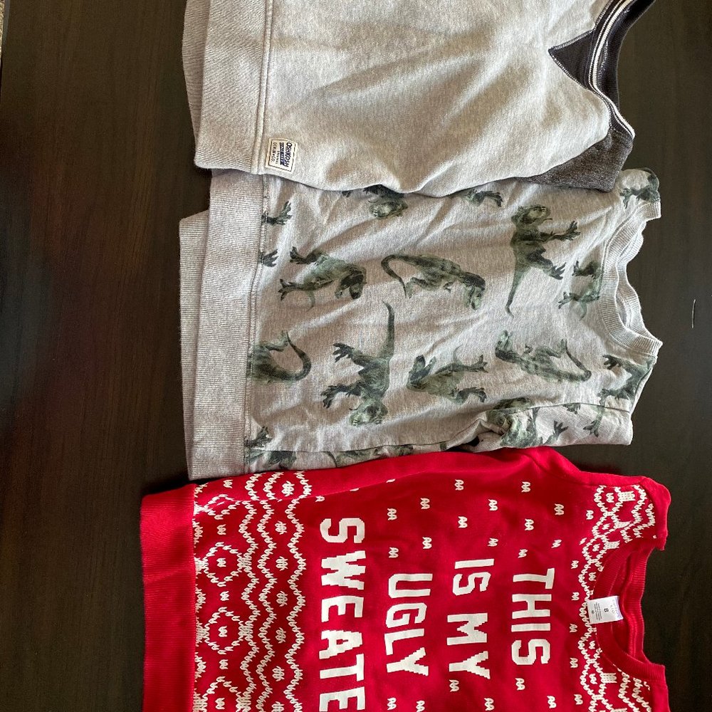 Boys sweatshirt